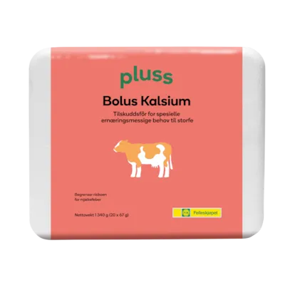 Bolus Kalsium 20x67 g