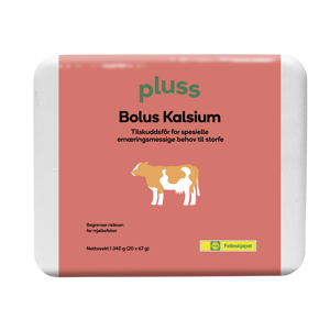 Bolus Kalsium 20x67 g
