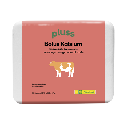 Bolus Kalsium 20x67 g