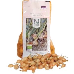 Setteløk gul løk Setton økologisk 10/21 250 g