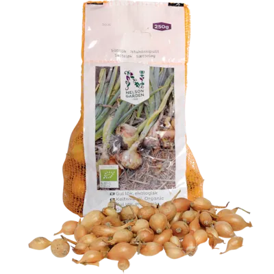 Setteløk gul løk Setton økologisk 10/21 250 g