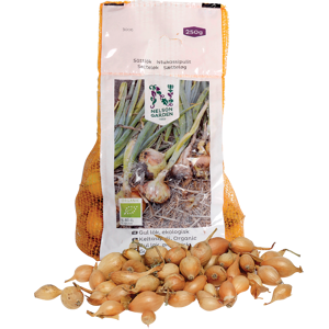 Setteløk gul løk Setton økologisk 10/21 250 g