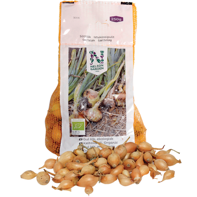 Setteløk gul løk Setton økologisk 10/21 250 g
