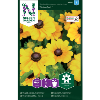 Frø sommersolhatt Toto Gold