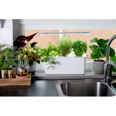 Harvy hydroponisk startpakke 3, bilde 2