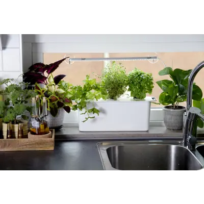 Harvy hydroponisk startpakke 3, bilde 2