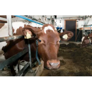 Fullfôr Konsentrat 750 kg