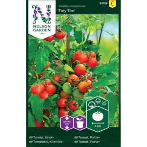 Frø tomat potte Tiny Tim