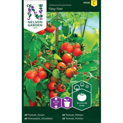 Frø tomat potte Tiny Tim