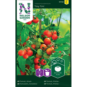 Frø tomat potte Tiny Tim
