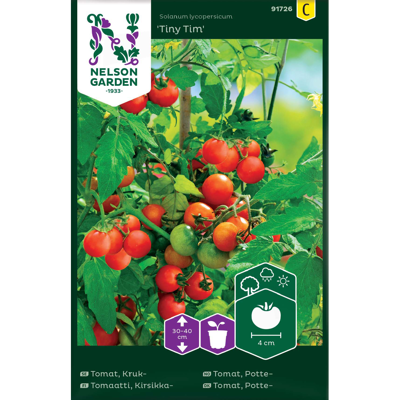 Frø tomat potte Tiny Tim