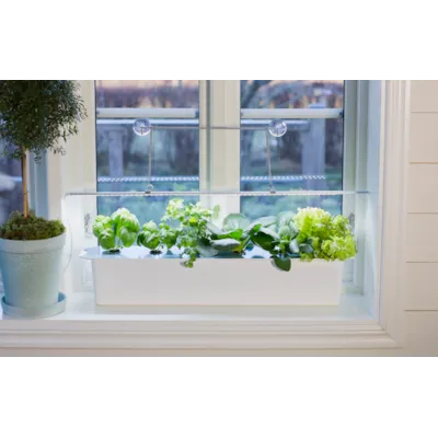 Harvy hydroponisk startpakke 6, bilde 2