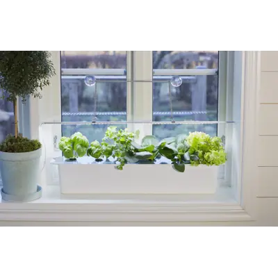 Harvy hydroponisk startpakke 6, bilde 2