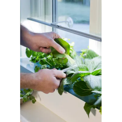 Harvy hydroponisk startpakke 6, bilde 3