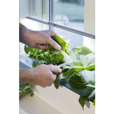 Harvy hydroponisk startpakke 6, bilde 3