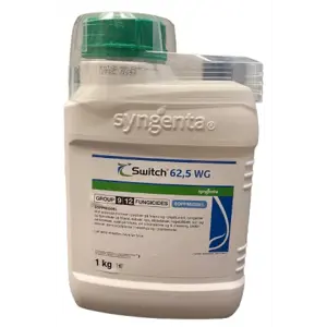 Switch 1 kg