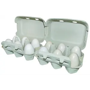 Eggkartong for 6/12 egg