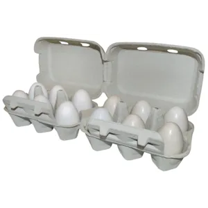 Eggkartong for 6/12 egg