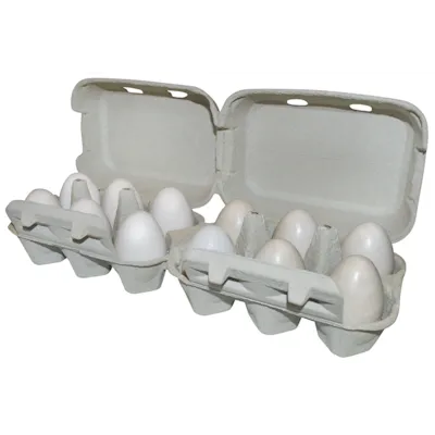 Eggkartong for 6/12 egg