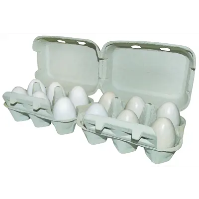 Eggkartong for 6/12 egg