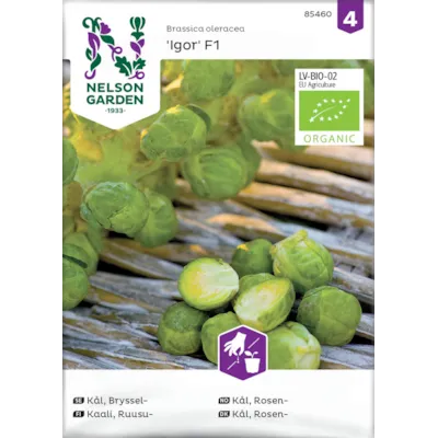 Frø rosenkål Igor økologisk