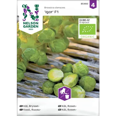 Frø rosenkål Igor økologisk