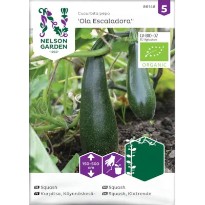 Frø squash Ola Escaladora økologisk