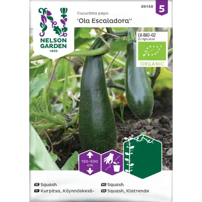 Frø squash Ola Escaladora økologisk