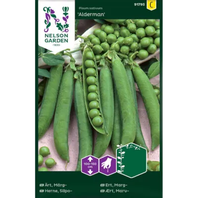 Frø margert Alderman