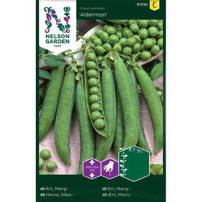 Frø margert Alderman