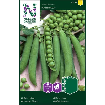 Frø margert Alderman, bilde 2