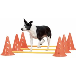 Hindersett med hindre og kjegler