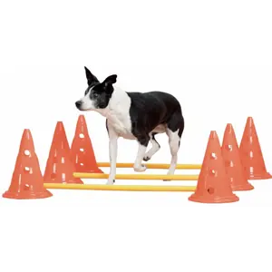 Hindersett med hindre og kjegler