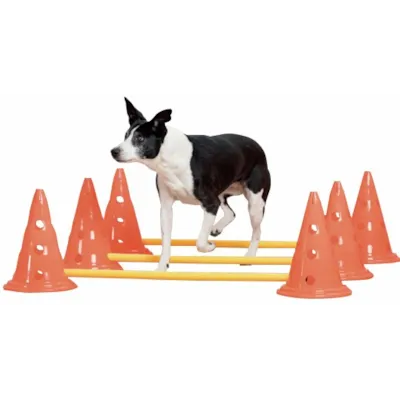 Hindersett med hindre og kjegler