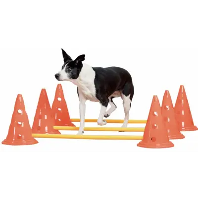 Hindersett med hindre og kjegler