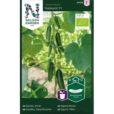 Frø potteagurk Kaikura