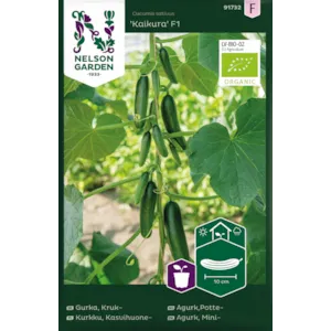 Frø potteagurk Kaikura