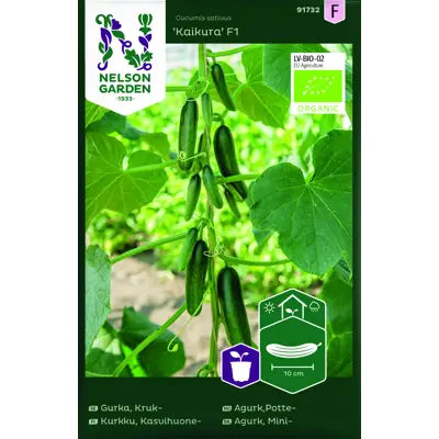 Frø potteagurk Kaikura
