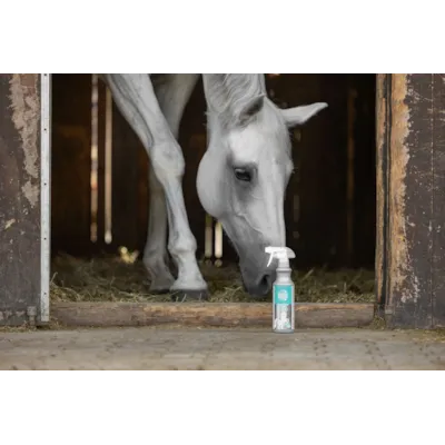 Tørrshampoo EasyCare Cleaning Lotion 500 ml, bilde 2