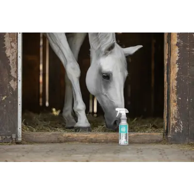 Tørrshampoo EasyCare Cleaning Lotion 500 ml, bilde 2