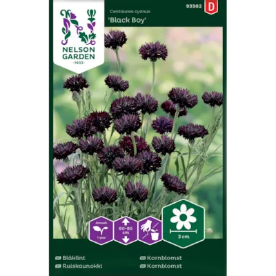 Frø kornblomst Black Boy