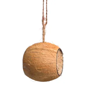 Fuglemat kokosnøtt hel