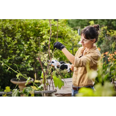 Batteridrevet grensaks ASA 20 SET, bilde 7