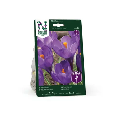 Høstløk vårkrokus Flower Record