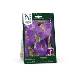 Høstløk vårkrokus Flower Record