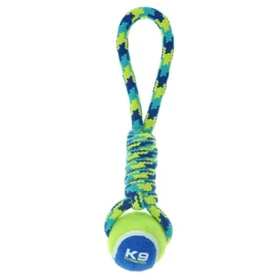 Hundeleke tau med tennisball