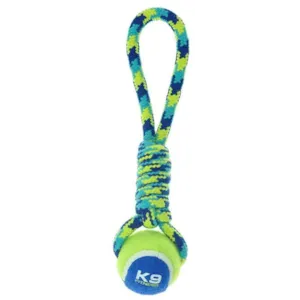 Hundeleke tau med tennisball