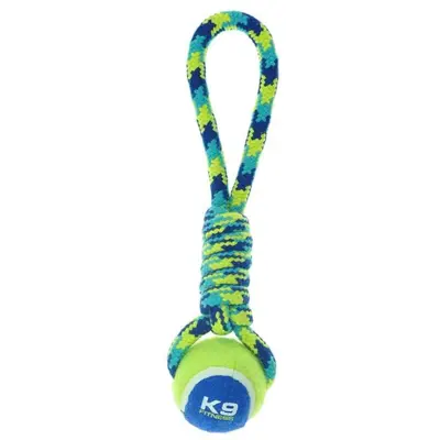 Hundeleke tau med tennisball