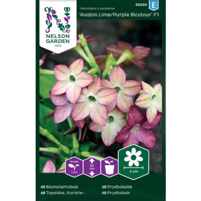 Frø prydtobakk Avalon Lime/Purple Bicolour