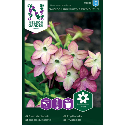 Frø prydtobakk Avalon Lime/Purple Bicolour